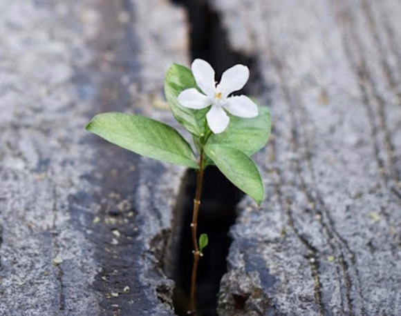 Meet your Posher, Shannon - Picture 1 of 1